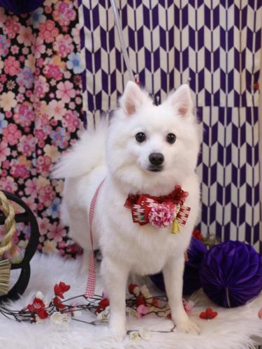 20250111ぱんちゃん